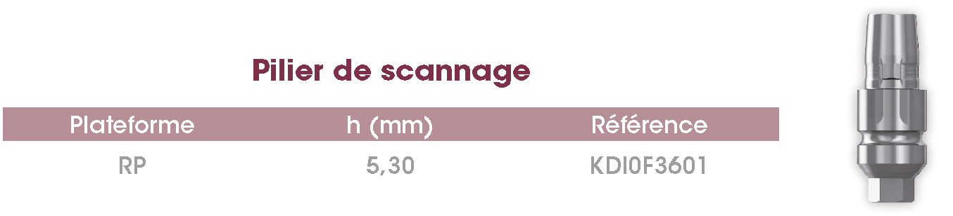 Pilier scannage FrontierPEAK FR