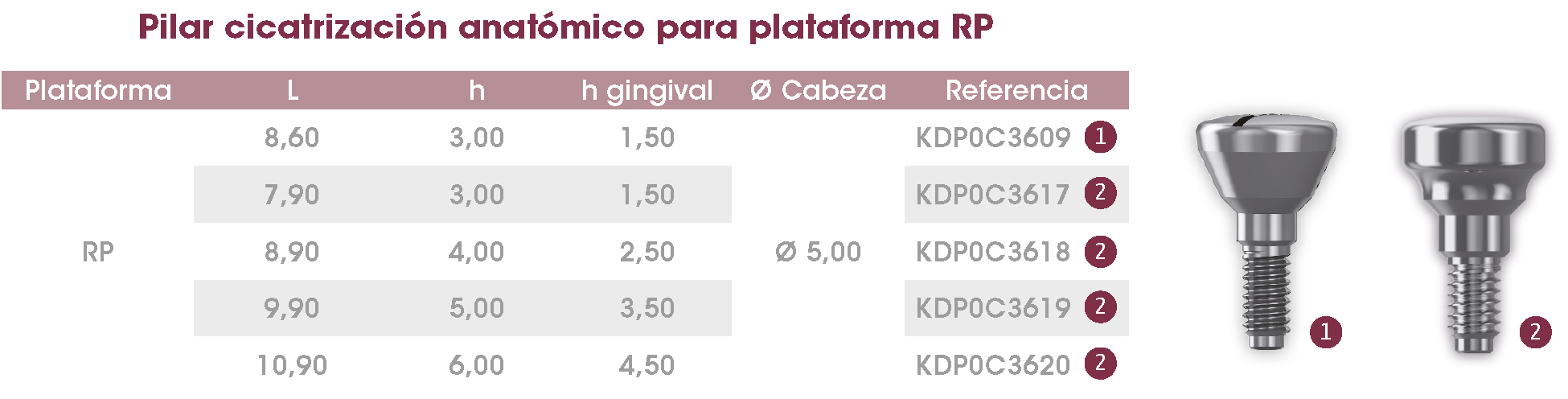 Pilares cicat anat FrontierPEAK ES