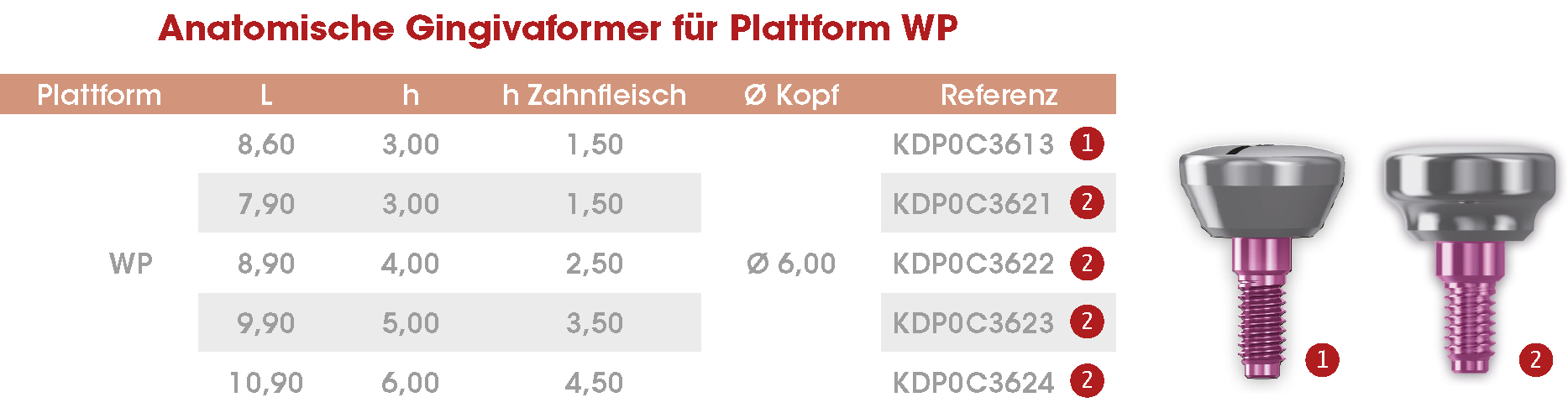 DE Pilier cicat anat WP Frontier