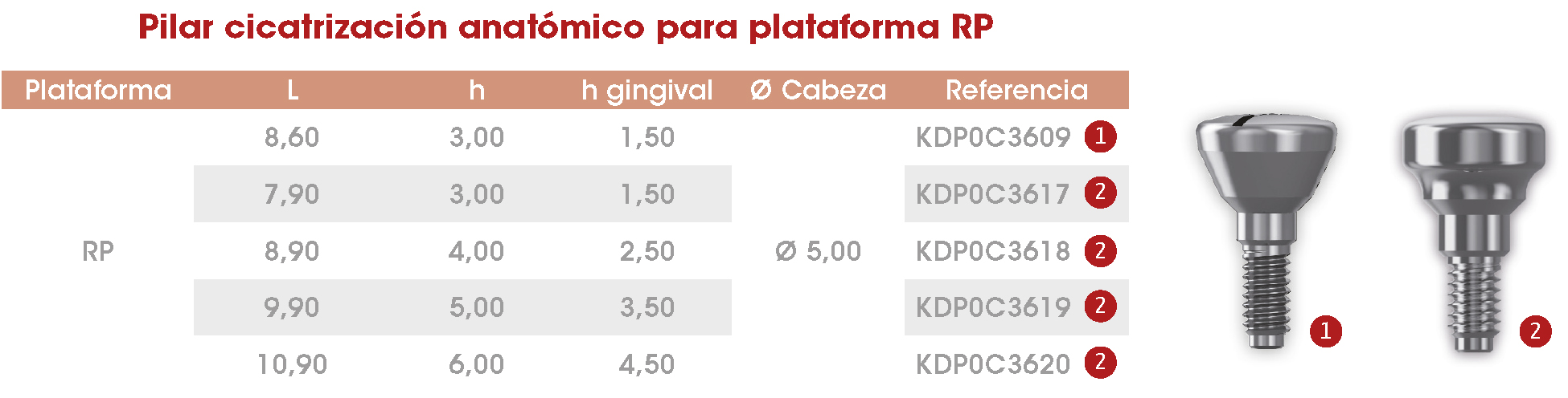 Pilar cicat anat RP Frontier