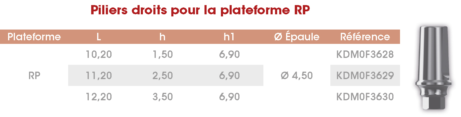 Pilier droit RP Frontier