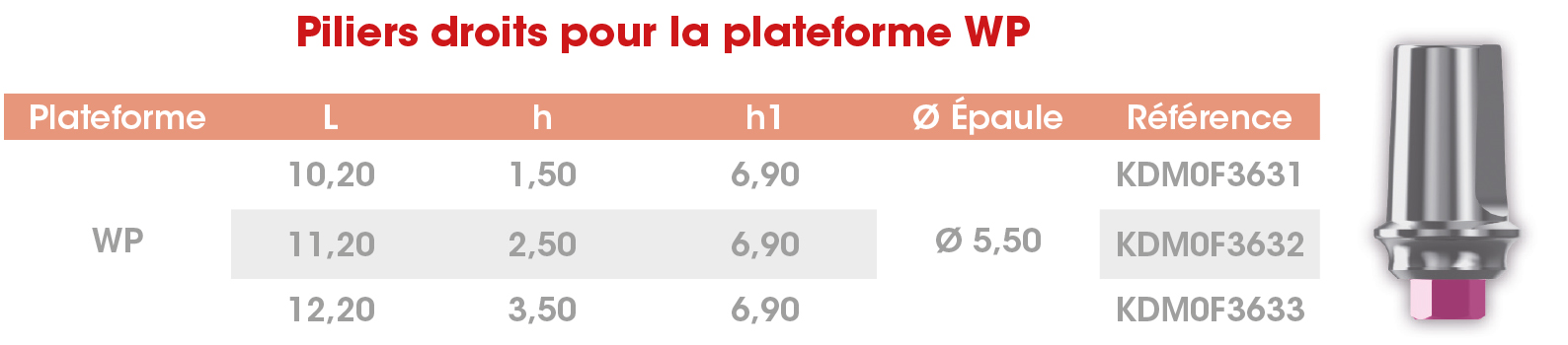 Pilier droit WP Frontier