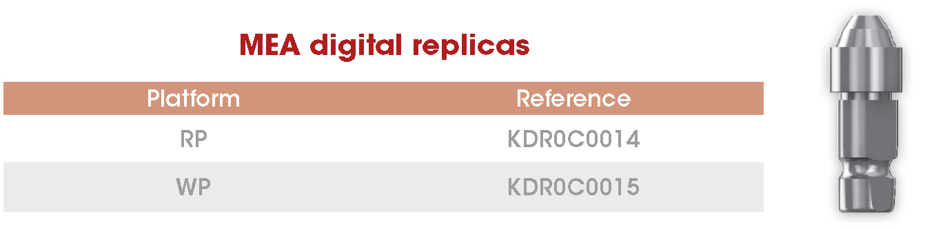 MEA digital replicas frontier