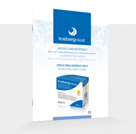 iceberg glue