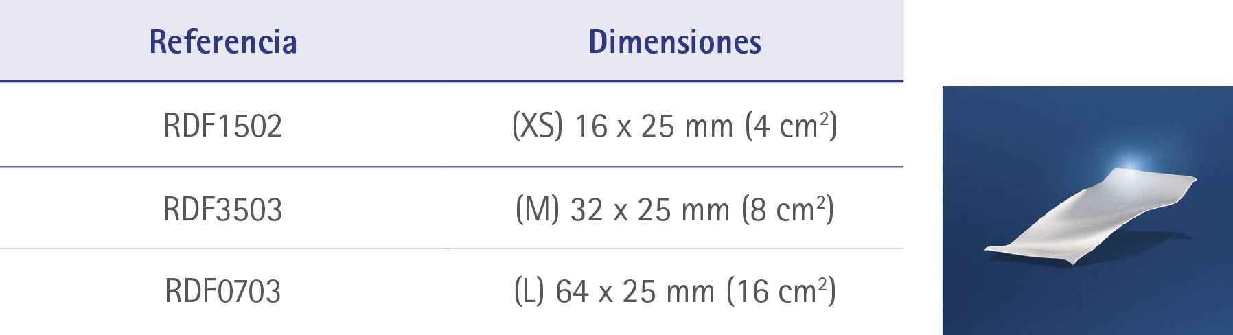 Presentacion Forte