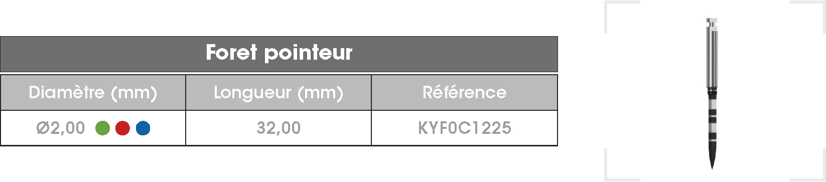 Foret-pointeur