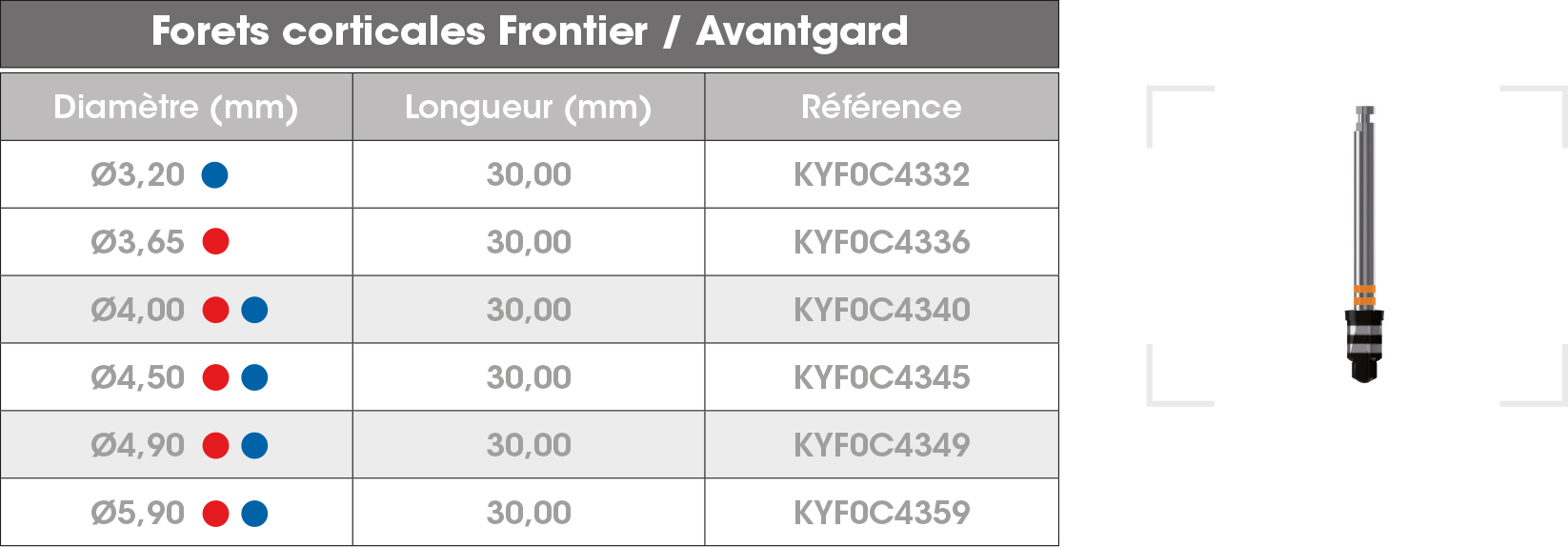 Forets corticales Frontier Avantgard FR