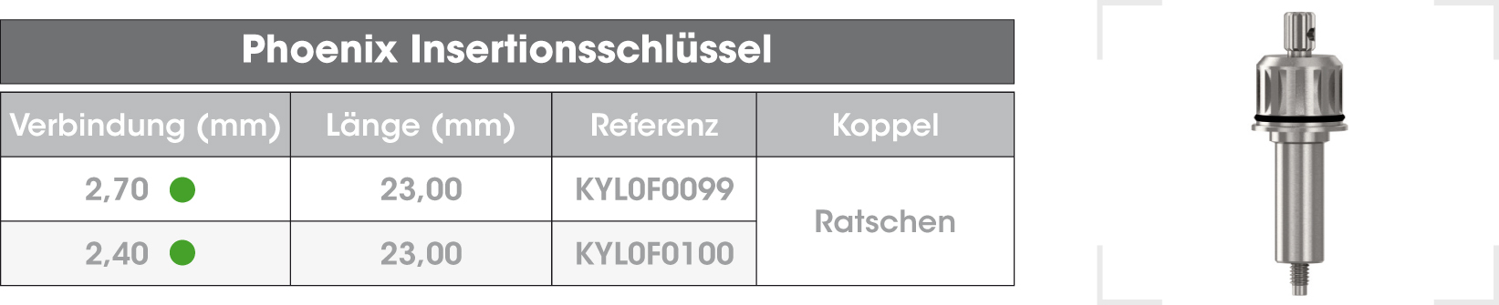 Cle-insertion-Phoenix-DE