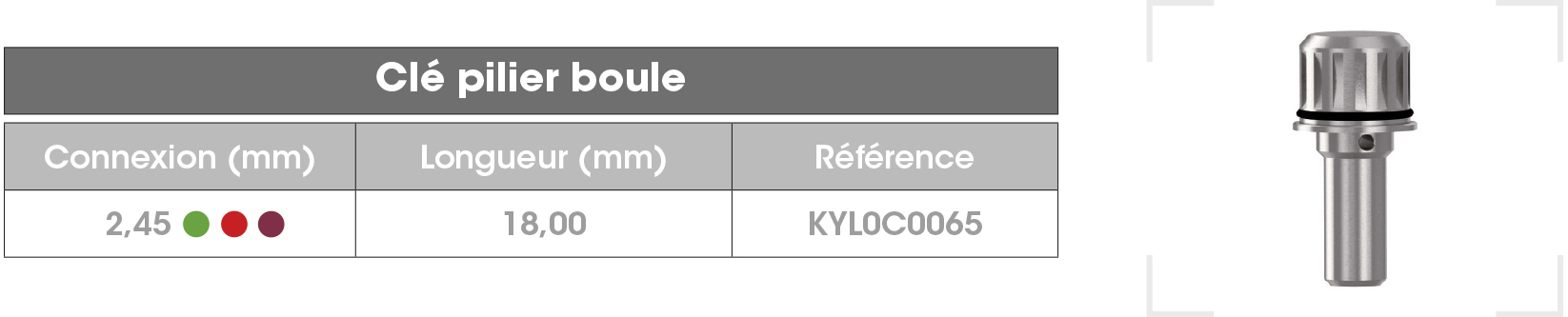 Cle-pilier-boule-FR