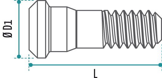 Tornillo-clinica