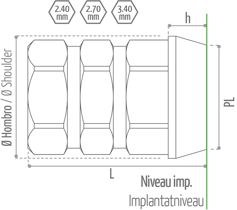Pilier porte implant FR DE Phoenix