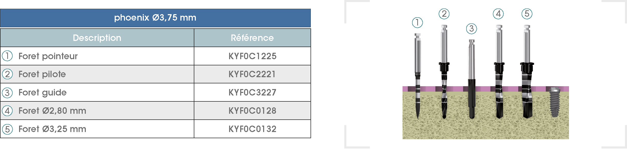 Sequence-Phoenix375-FR