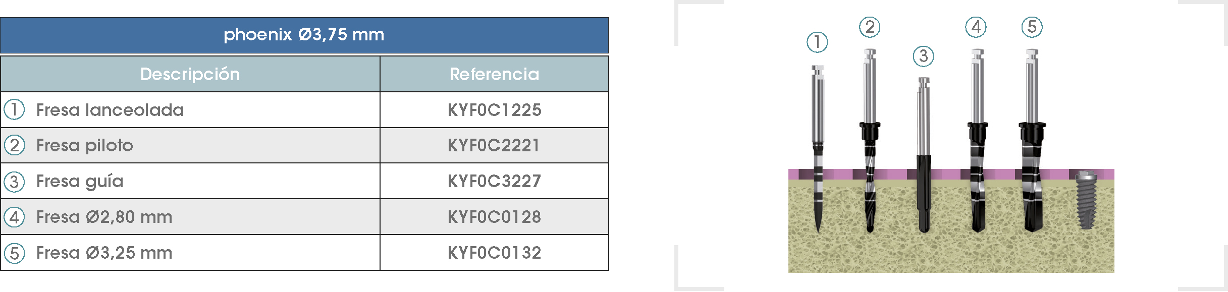 Secuencia-Phoenix-2