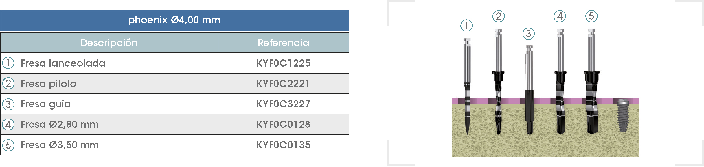 Secuencia-Phoenix-3